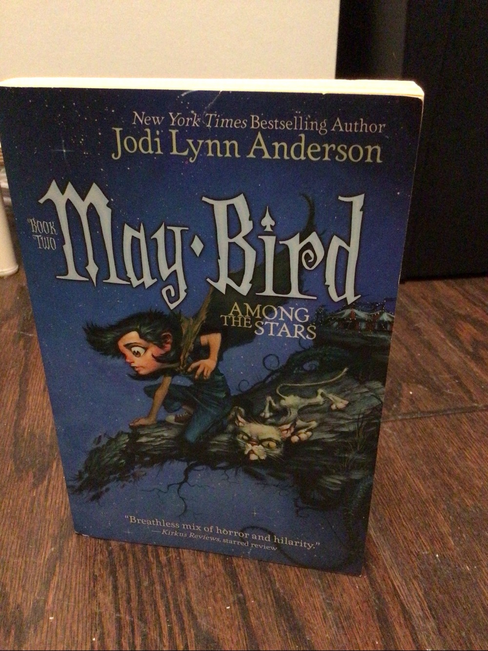 May Bird Among the Stars by Jodi Lynn Anderson Paperback Book 2